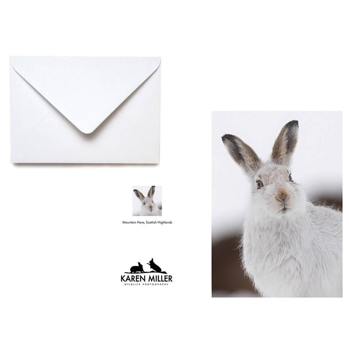 Mountain Hare Portrait Greeting Card