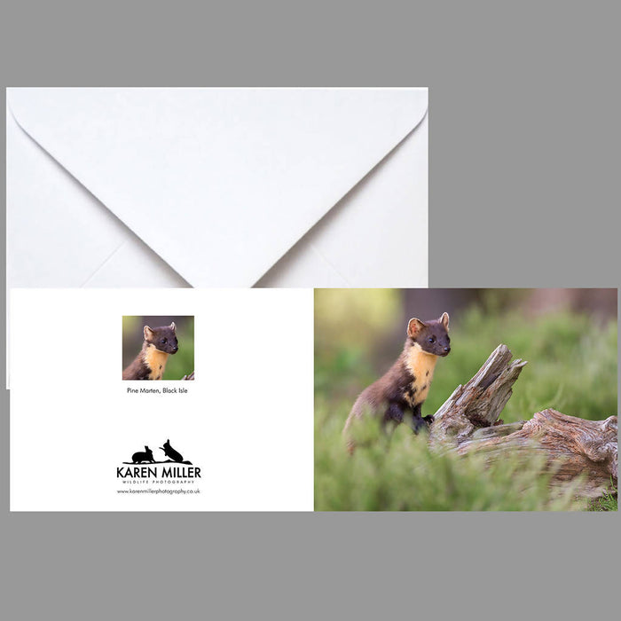 Pine Marten Greeting Card