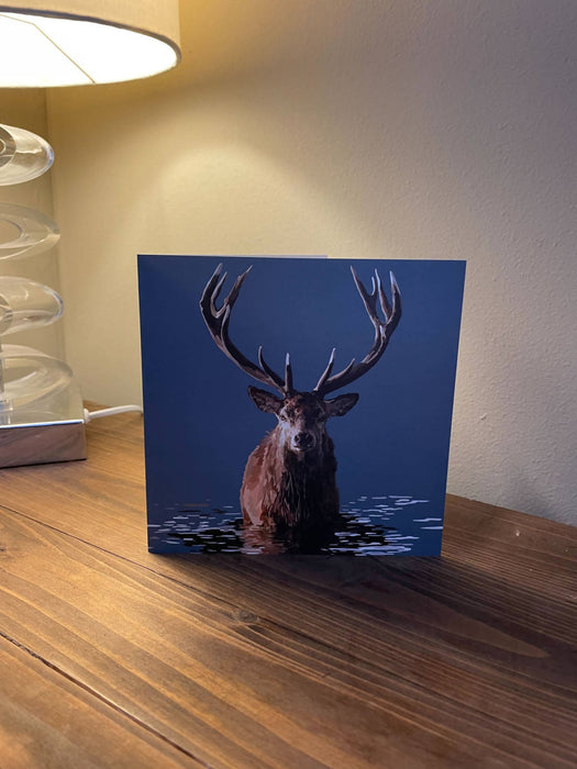 Scottish stag greeting card
