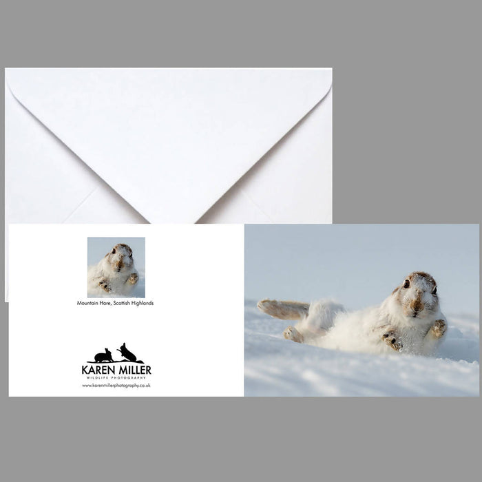 Mountain Hare Rolling in Snow Portrait Greeting Card