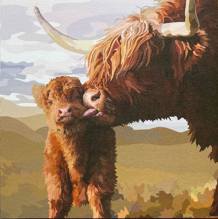 Scottish Highlander Cow with baby Coo kiss greeting card